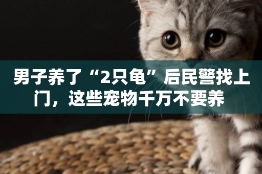 男子養了“2只龜”后民警找上門，這些寵物千萬不要養 