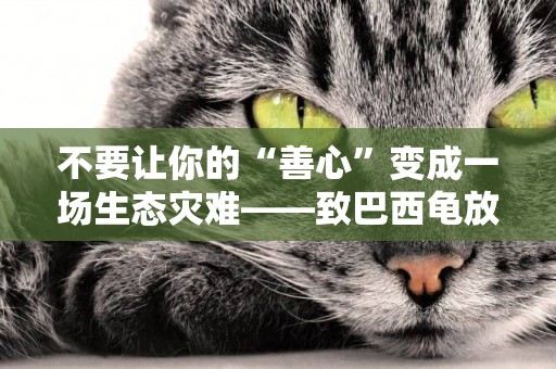 不要讓你的“善心”變成一場生態災難——致巴西龜放生者 