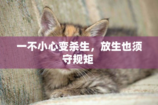 一不小心變殺生，放生也須守規矩 