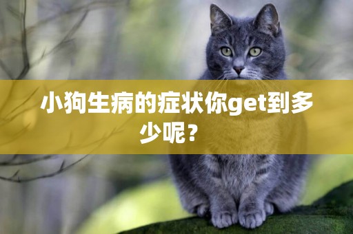 小狗生病的癥狀你get到多少呢？ 