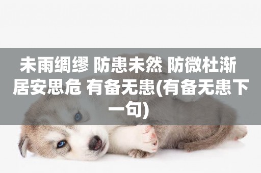 未雨綢繆 防患未然 防微杜漸 居安思危 有備無患(有備無患下一句) 