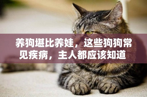 養狗堪比養娃，這些狗狗常見疾病，主人都應該知道 