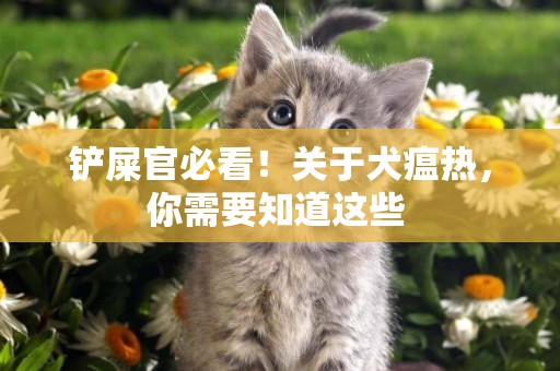 鏟屎官必看！關于犬瘟熱，你需要知道這些 