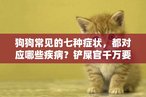 狗狗常見的七種癥狀，都對應哪些疾病？鏟屎官千萬要注意 