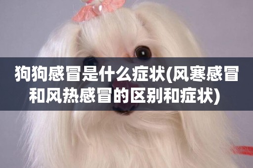 狗狗感冒是什么癥狀(風寒感冒和風熱感冒的區別和癥狀) 