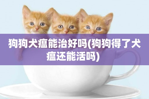 狗狗犬瘟能治好嗎(狗狗得了犬瘟還能活嗎) 