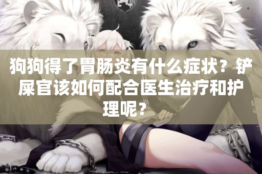 狗狗得了胃腸炎有什么癥狀？鏟屎官該如何配合醫生治療和護理呢？ 