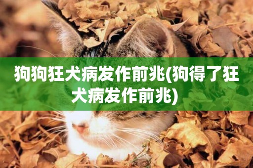 狗狗狂犬病發作前兆(狗得了狂犬病發作前兆) 