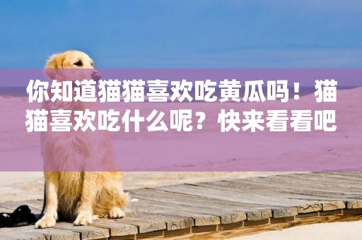 你知道貓貓喜歡吃黃瓜嗎！貓貓喜歡吃什么呢？快來看看吧 