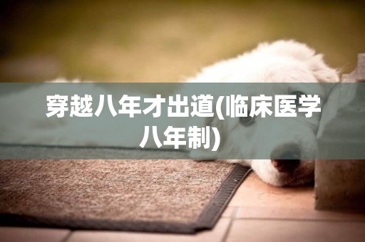 穿越八年才出道(臨床醫學八年制) 