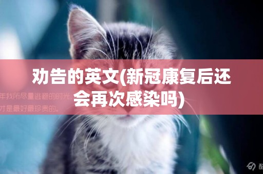 勸告的英文(新冠康復后還會再次感染嗎) 