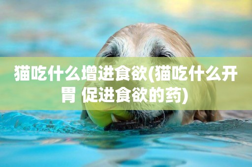 貓吃什么增進食欲(貓吃什么開胃 促進食欲的藥) 
