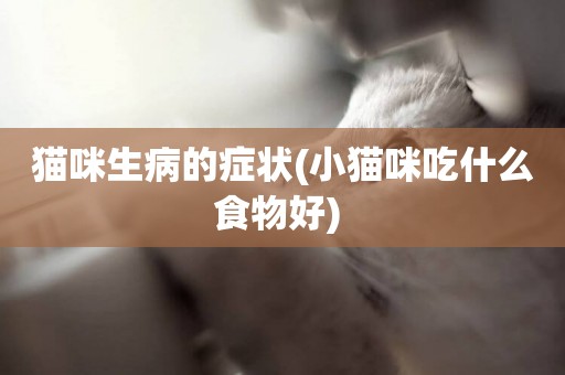 貓咪生病的癥狀(小貓咪吃什么食物好) 
