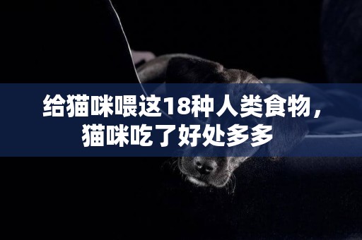 給貓咪喂這18種人類食物，貓咪吃了好處多多 
