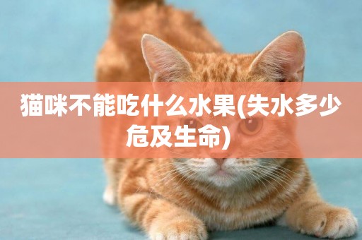 貓咪不能吃什么水果(失水多少危及生命) 
