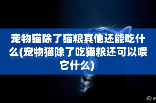 寵物貓除了貓糧其他還能吃什么(寵物貓除了吃貓糧還可以喂它什么) 