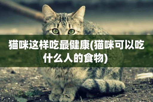 貓咪這樣吃最健康(貓咪可以吃什么人的食物) 