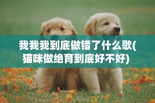 我我我到底做錯了什么歌(貓咪做絕育到底好不好) 