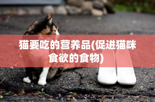 貓要吃的營養品(促進貓咪食欲的食物) 