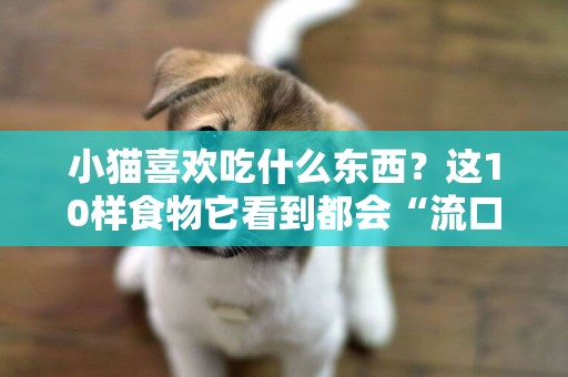 小貓喜歡吃什么東西？這10樣食物它看到都會“流口水” 