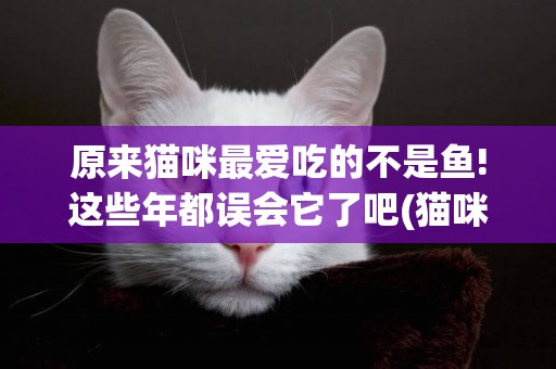 原來貓咪最愛吃的不是魚!這些年都誤會它了吧(貓咪真的愛吃魚嗎) 
