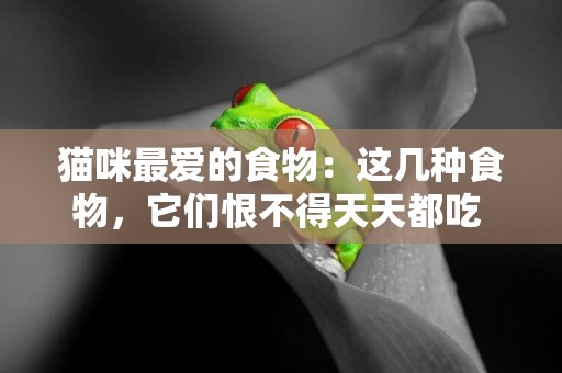 貓咪最愛的食物：這幾種食物，它們恨不得天天都吃 