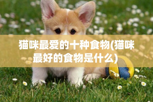 貓咪最愛的十種食物(貓咪最好的食物是什么) 