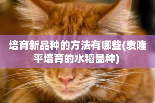 培育新品種的方法有哪些(袁隆平培育的水稻品種) 