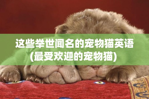 這些舉世聞名的寵物貓英語(最受歡迎的寵物貓) 