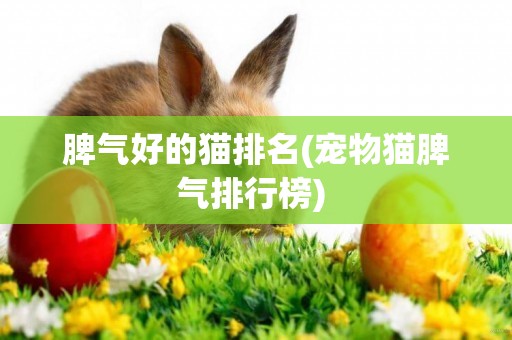 脾氣好的貓排名(寵物貓脾氣排行榜) 
