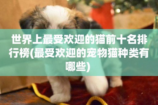 世界上最受歡迎的貓前十名排行榜(最受歡迎的寵物貓種類有哪些) 