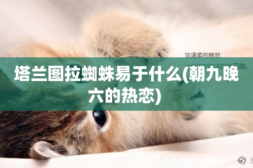 塔蘭圖拉蜘蛛易于什么(朝九晚六的熱戀) 