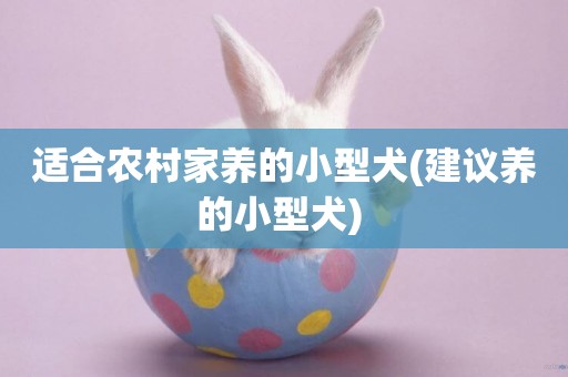 適合農村家養的小型犬(建議養的小型犬) 