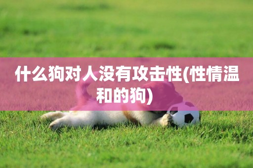 什么狗對人沒有攻擊性(性情溫和的狗) 
