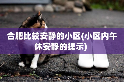 合肥比較安靜的小區(小區內午休安靜的提示) 