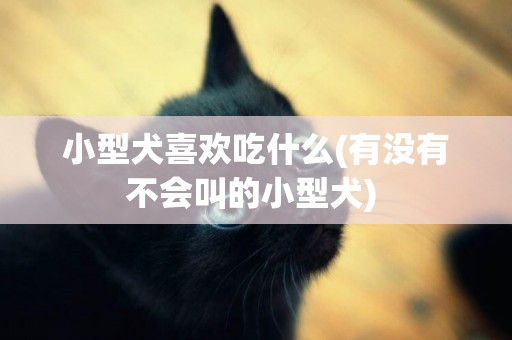 小型犬喜歡吃什么(有沒有不會叫的小型犬) 