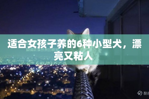 適合女孩子養的6種小型犬，漂亮又粘人 