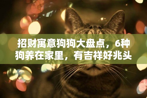 招財寓意狗狗大盤點，6種狗養在家里，有吉祥好兆頭 
