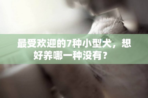 最受歡迎的7種小型犬，想好養哪一種沒有？ 