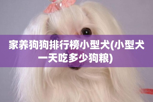 家養狗狗排行榜小型犬(小型犬一天吃多少狗糧) 