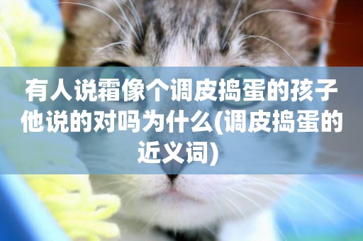 有人說霜像個調皮搗蛋的孩子他說的對嗎為什么(調皮搗蛋的近義詞) 