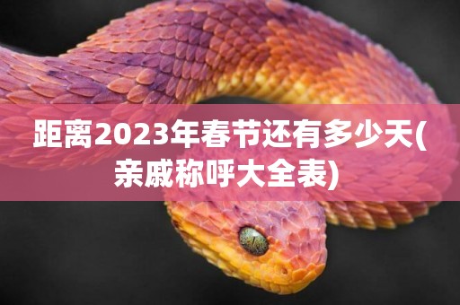 距離2023年春節還有多少天(親戚稱呼大全表) 
