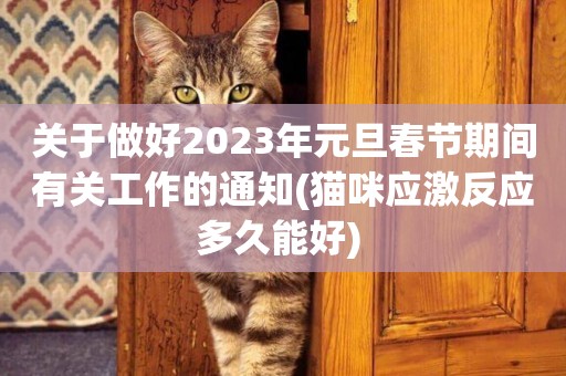 關于做好2023年元旦春節期間有關工作的通知(貓咪應激反應多久能好) 