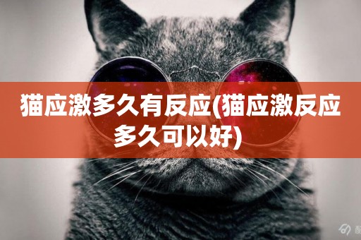 貓應激多久有反應(貓應激反應多久可以好) 