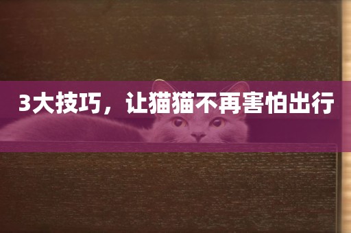 3大技巧，讓貓貓不再害怕出行 