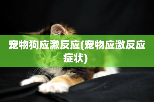 寵物狗應激反應(寵物應激反應癥狀) 