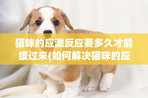 貓咪的應激反應要多久才能緩過來(如何解決貓咪的應激反應) 