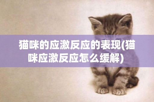 貓咪的應激反應的表現(貓咪應激反應怎么緩解) 