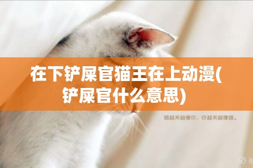 在下鏟屎官貓王在上動漫(鏟屎官什么意思) 