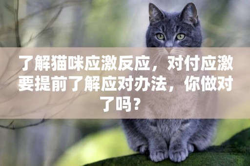 了解貓咪應激反應，對付應激要提前了解應對辦法，你做對了嗎？ 